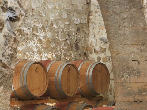 chateau dollieres 9